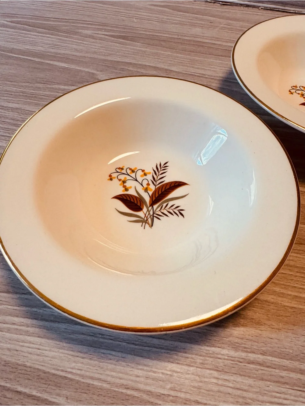 Set 2 Vintage Lifetime China Co Linden Rimmed Fruit Dessert Bowls 6.5